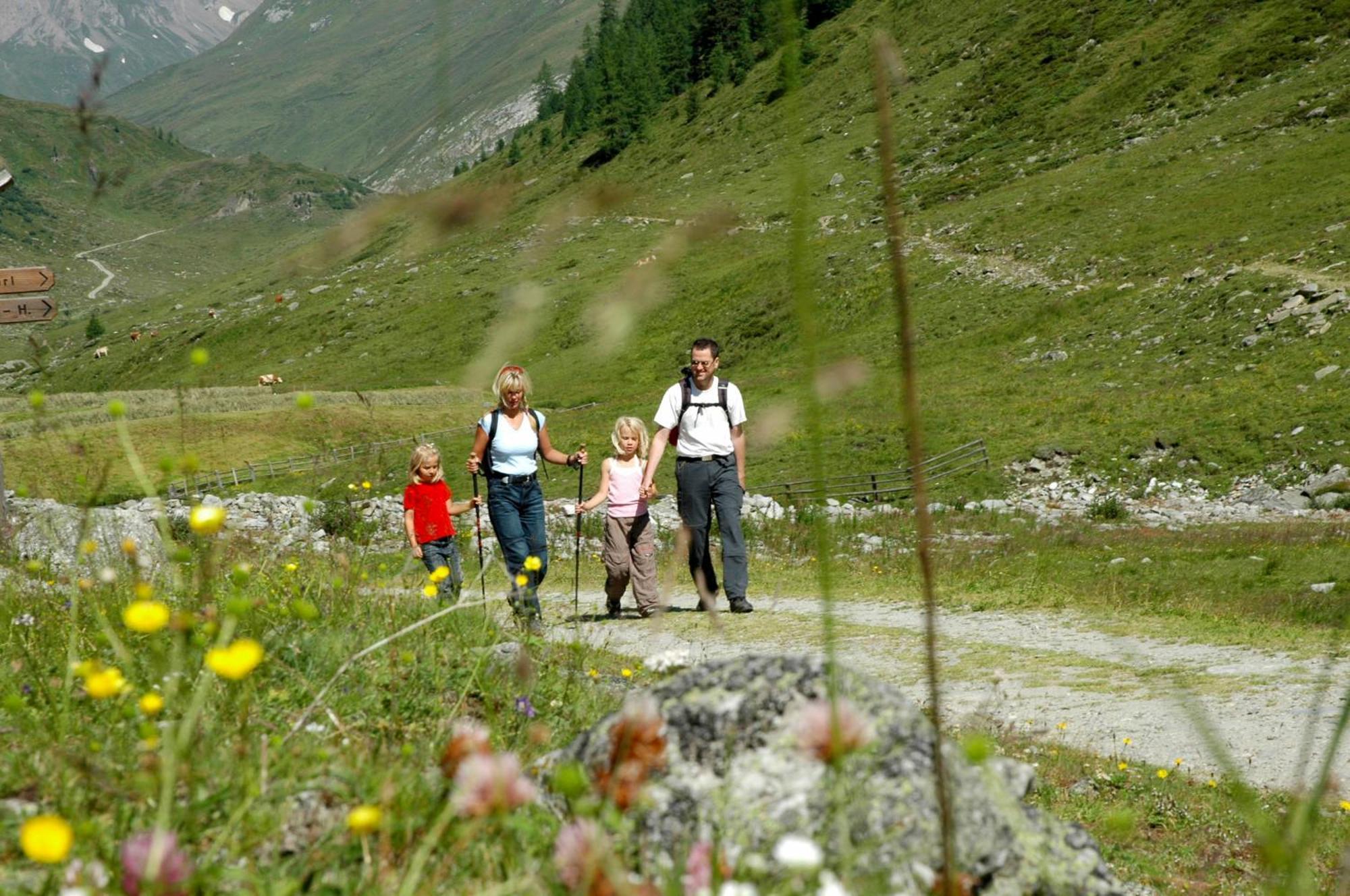 Alpengasthof Pichler Sankt Veit in Defereggen Kültér fotó