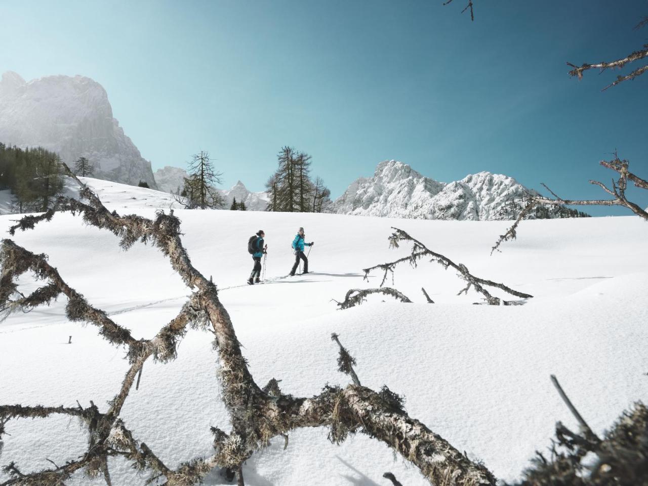 Alpengasthof Pichler Sankt Veit in Defereggen Kültér fotó